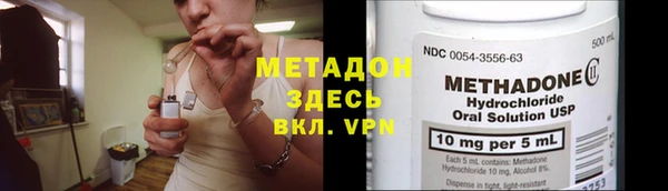 прущие грибы Медногорск