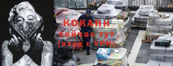крисы Липки