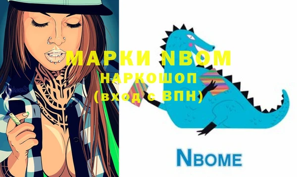 прущие грибы Медногорск