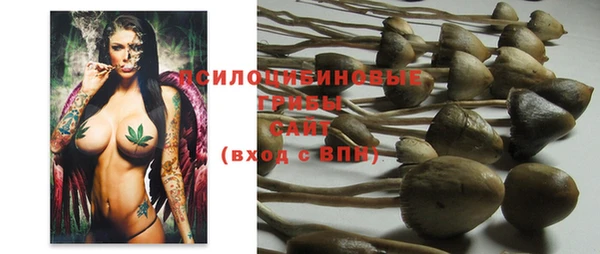 крисы Липки