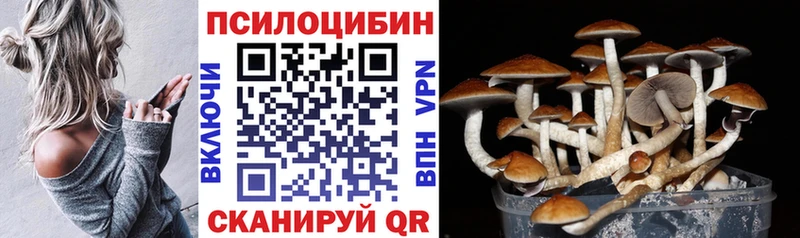 Купить закладки  Балашов  Галлюциногенные грибы мухоморы 